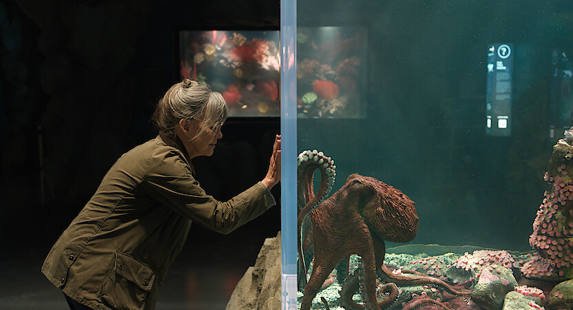‘Remarkably Bright Creatures’ movie&nbsp;review